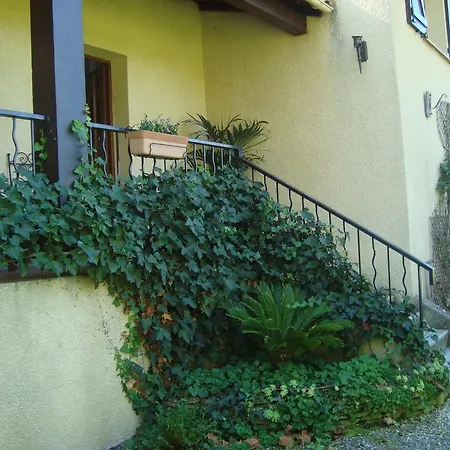 D'hotes Les Palmiers De La Cite