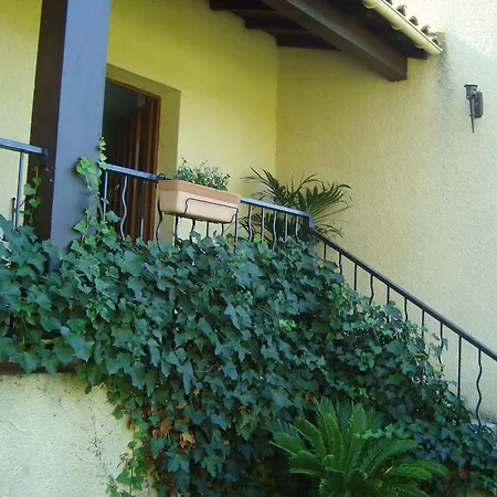 Bed & Breakfast D'hôtes Les Palmiers De La Cité Carcassonne