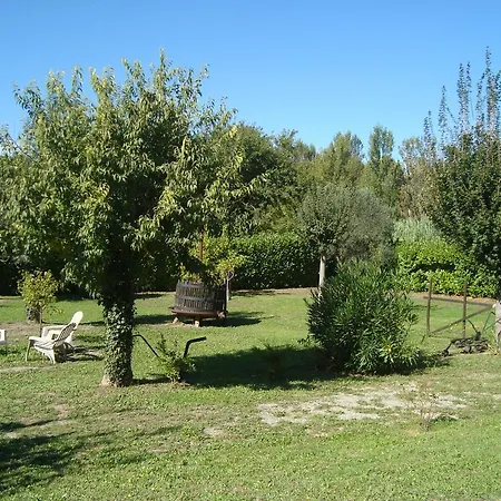 D'hotes Les Palmiers De La Cite Nocleg ze śniadaniem
