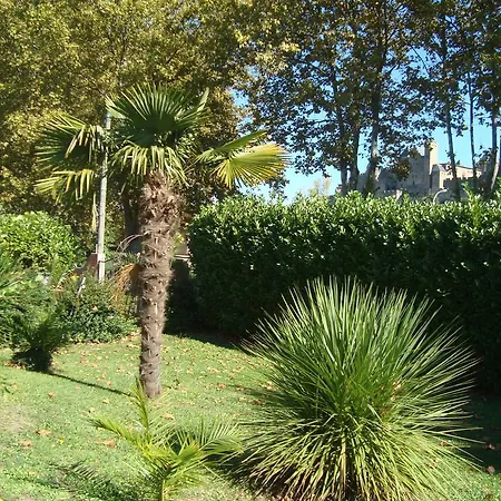 D'hôtes Les Palmiers De La Cité 4*