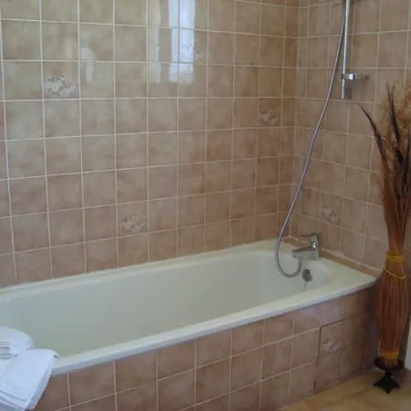 D'hotes Les Palmiers De La Cite 3* Каркассон
