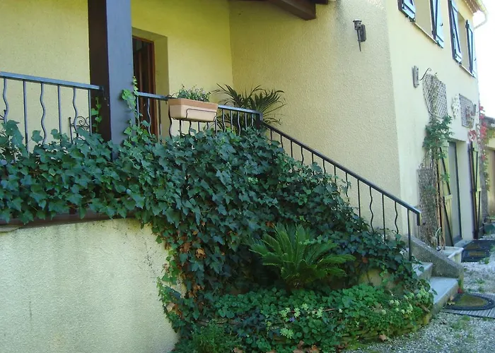 Chambres D'hotes Les Palmiers De La Cite