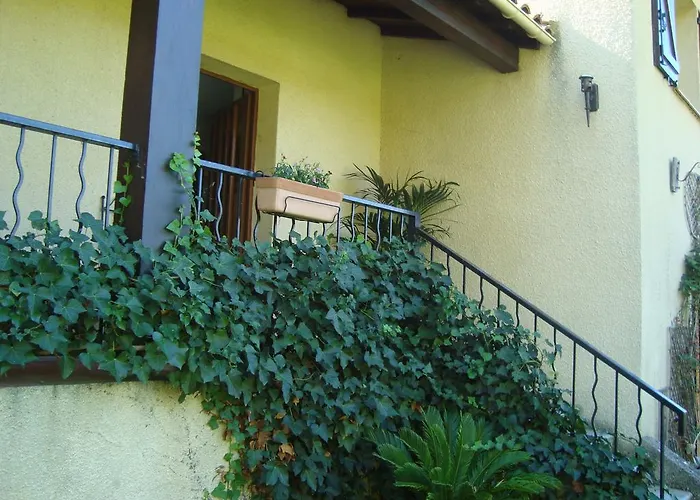 Bed & Breakfast D'hotes Les Palmiers De La Cite Carcassonne