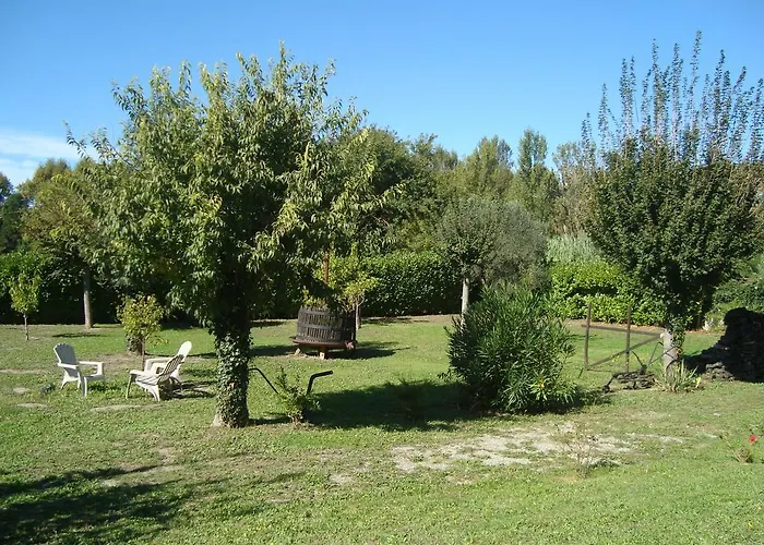 D'hotes Les Palmiers De La Cite Bed & Breakfast