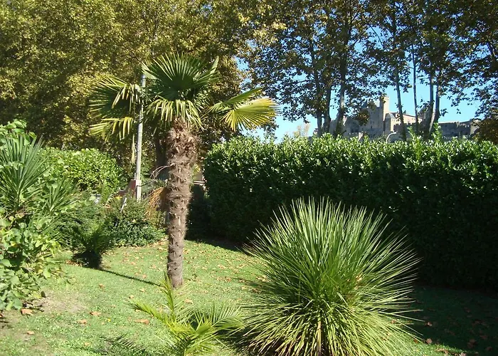 Chambres D'hotes Les Palmiers De La Cite 4*