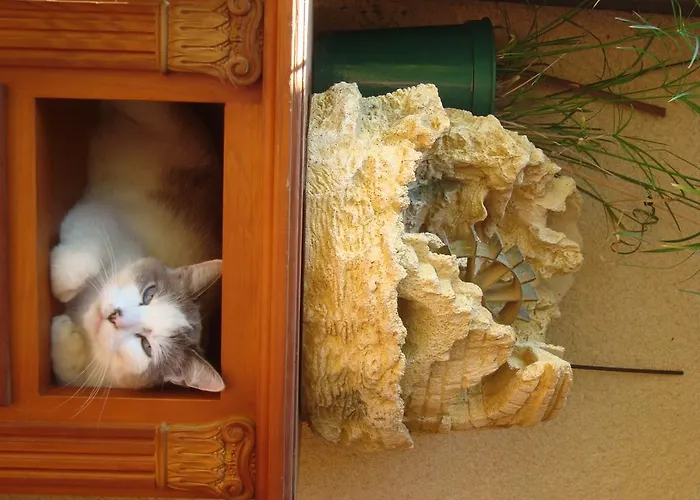 D'hotes Les Palmiers De La Cite Отель типа 