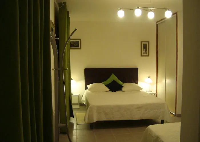 Chambres D'hotes Les Palmiers De La Cite Carcassonne