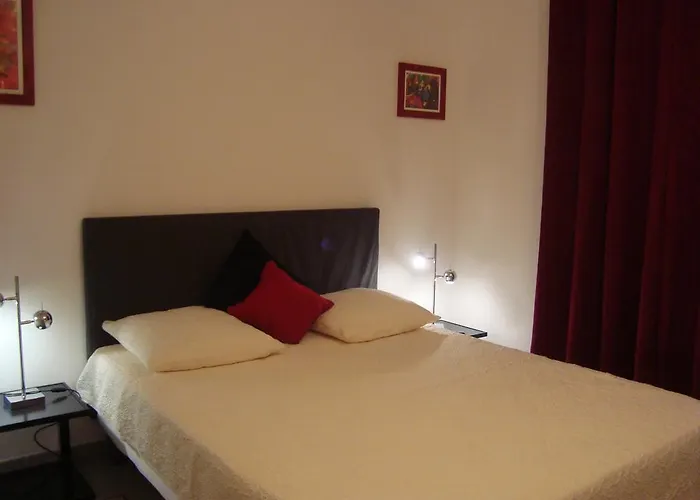 Chambres D'hotes Les Palmiers De La Cite Carcassonne