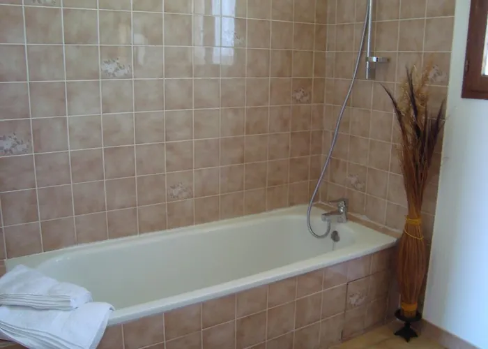 Chambres D'hotes Les Palmiers De La Cite 4* Carcassonne