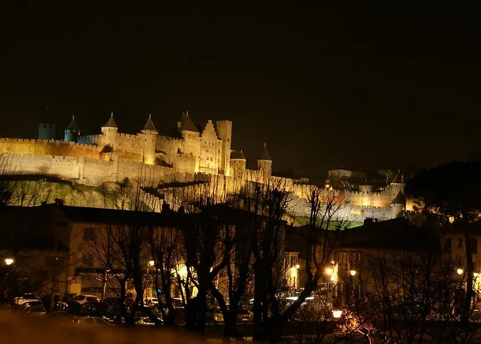 Chambres D'hotes Les Palmiers De La Cite 4* Carcassonne