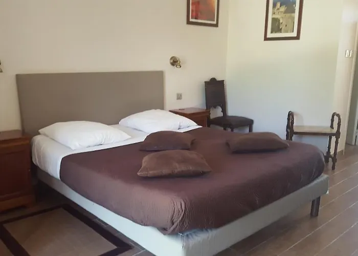 Chambres D'hotes Les Palmiers De La Cite Bed & Breakfast Carcassonne